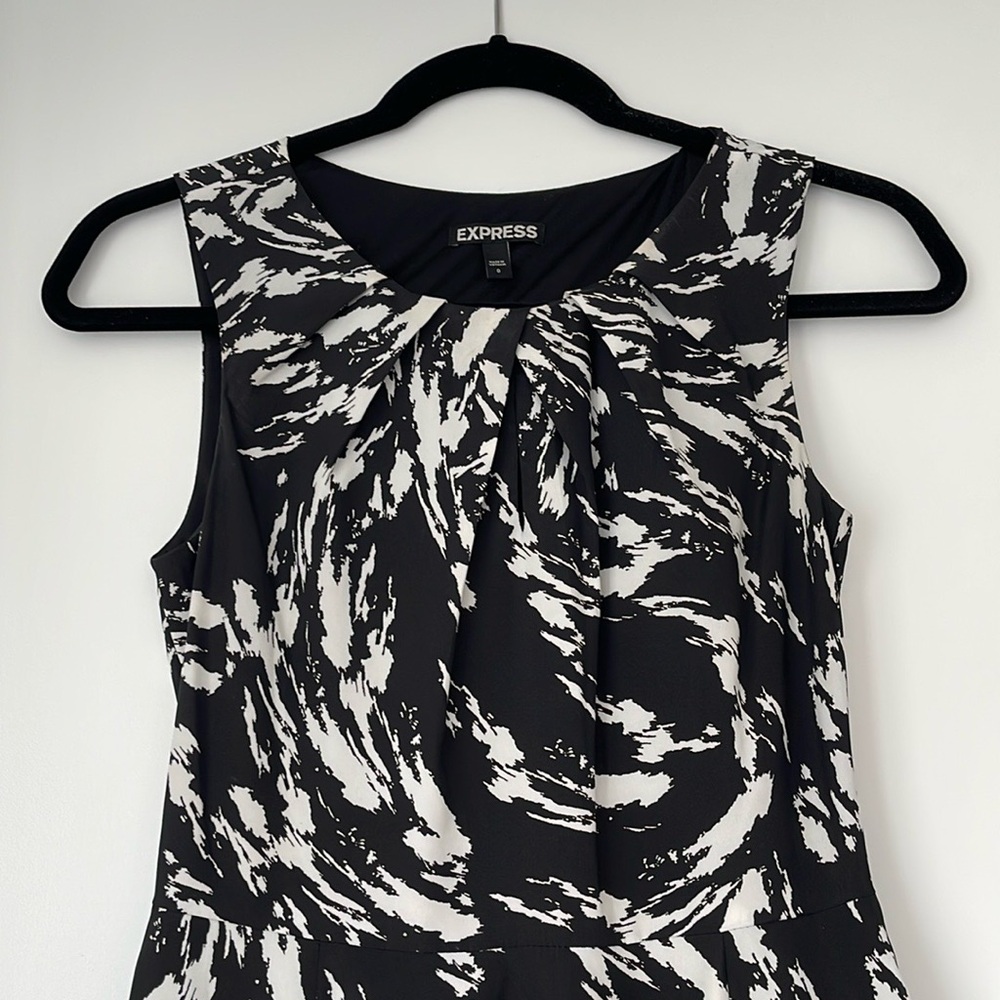 Express Dress - Picture 2 of 5